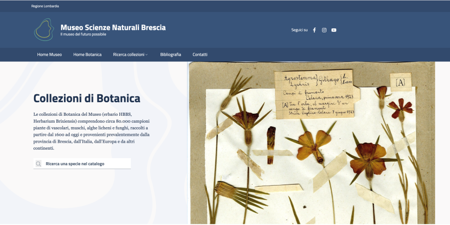 Museo di Scienze Naturali di Brescia – Collezioni Botaniche Online