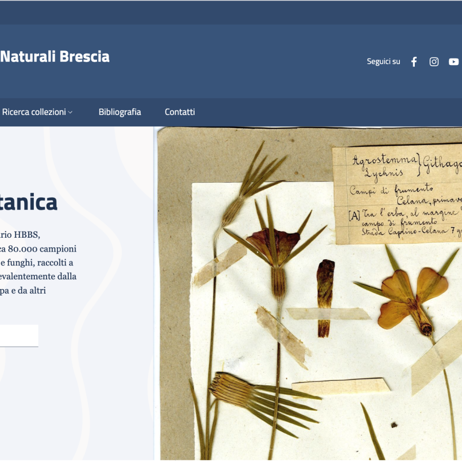 Museo di Scienze Naturali di Brescia – Collezioni Botaniche Online