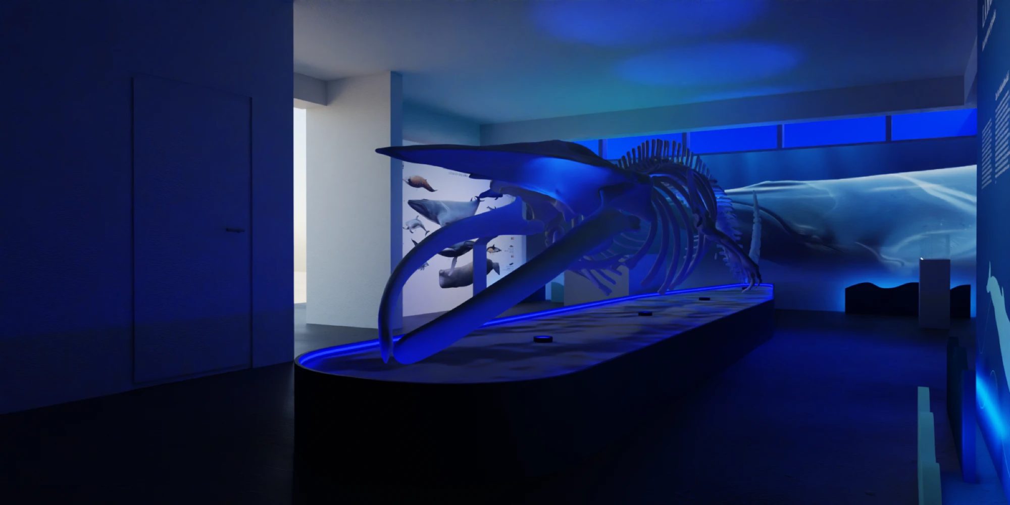 Boralena: il render della sala con lo scheletro e la parete video