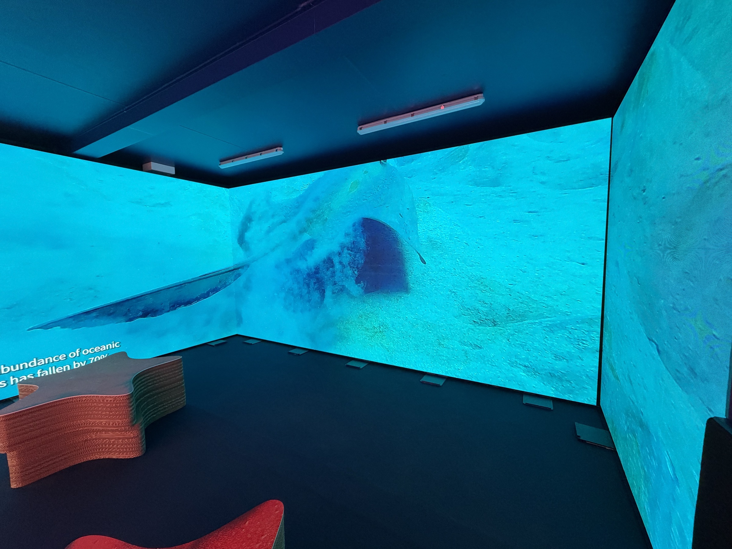 Deep Blue Exploration Zone 2026: la sala immersiva con il ledwall